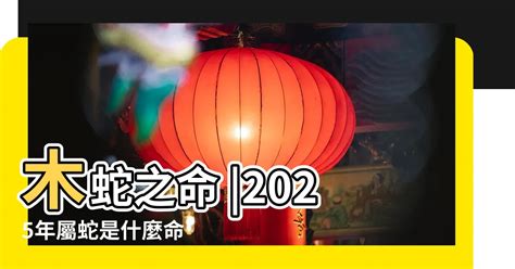 1995屬豬|【1995年 五行】1995年五行屬什麼？揭曉你的命理密碼！